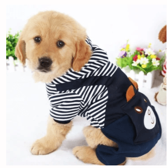 Rabbit Pet Costume - The Hopping Hare Outfit