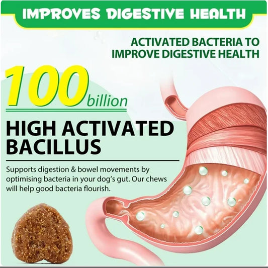 OEM/ODM Dog Soft Chews Probiotics Pet Supplement and Anti Allergy Immune Booster for Dogs Veterinary Supplements-1