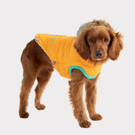 TD GF Classic Pet Sailor Parka Winter Fleece Coat in XS XL XXL for Cats and Dogs Floral and Solid Patterns Available-1