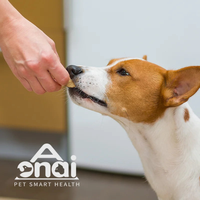 OEM/ODM Dog Soft Chews Probiotics Pet Supplement and Anti Allergy Immune Booster for Dogs Veterinary Supplements-2