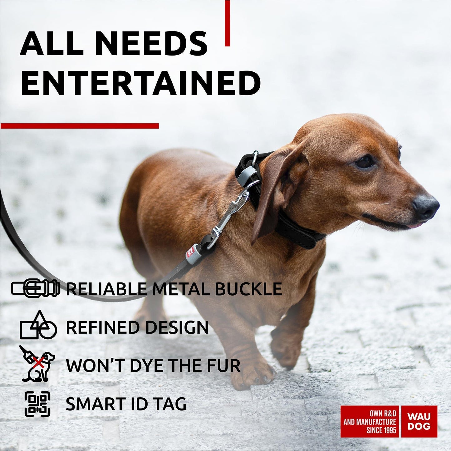 Long Lasting Leather Dog Collar for Large Dogs Medium & Small Dogs