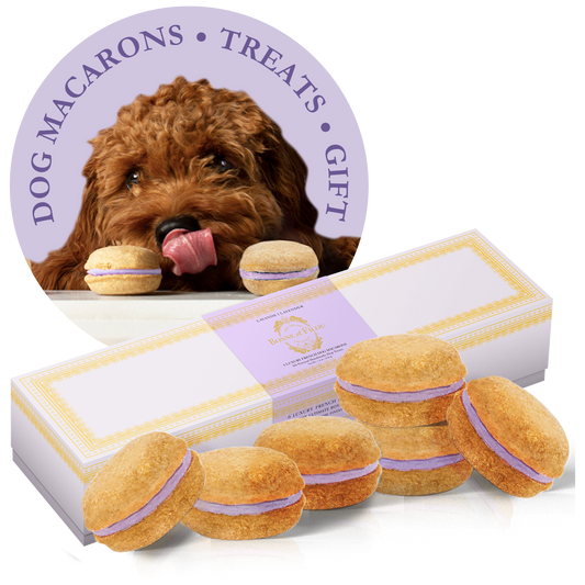 Dog Macarons - Box of 6