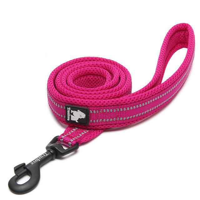 The Ultimate Stretchable Nylon Pet Dog Leash In Vibrant Colors