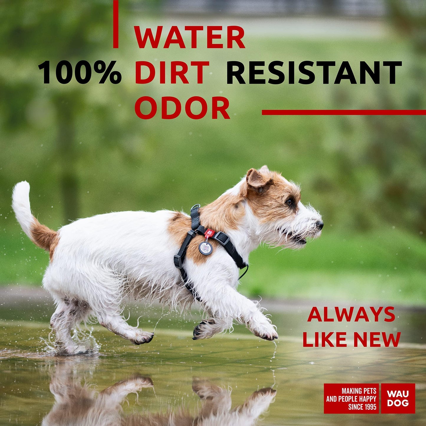 Waterproof Dog Harness   Adjustable Dog Harness for Large Dogs Small