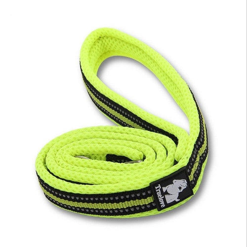 The Ultimate Stretchable Nylon Pet Dog Leash In Vibrant Colors
