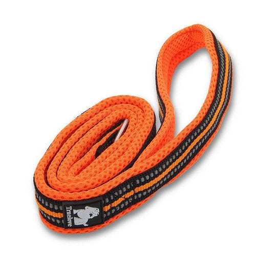 The Ultimate Stretchable Nylon Pet Dog Leash In Vibrant Colors