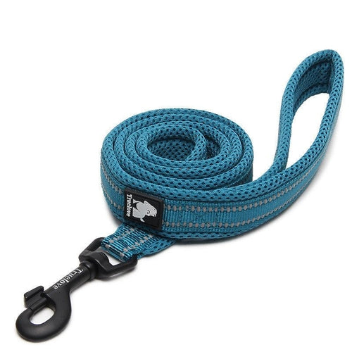 The Ultimate Stretchable Nylon Pet Dog Leash In Vibrant Colors