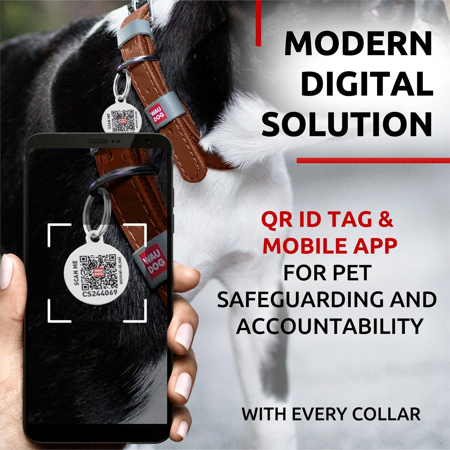 Long Lasting Leather Dog Collar for Large Dogs Medium & Small Dogs