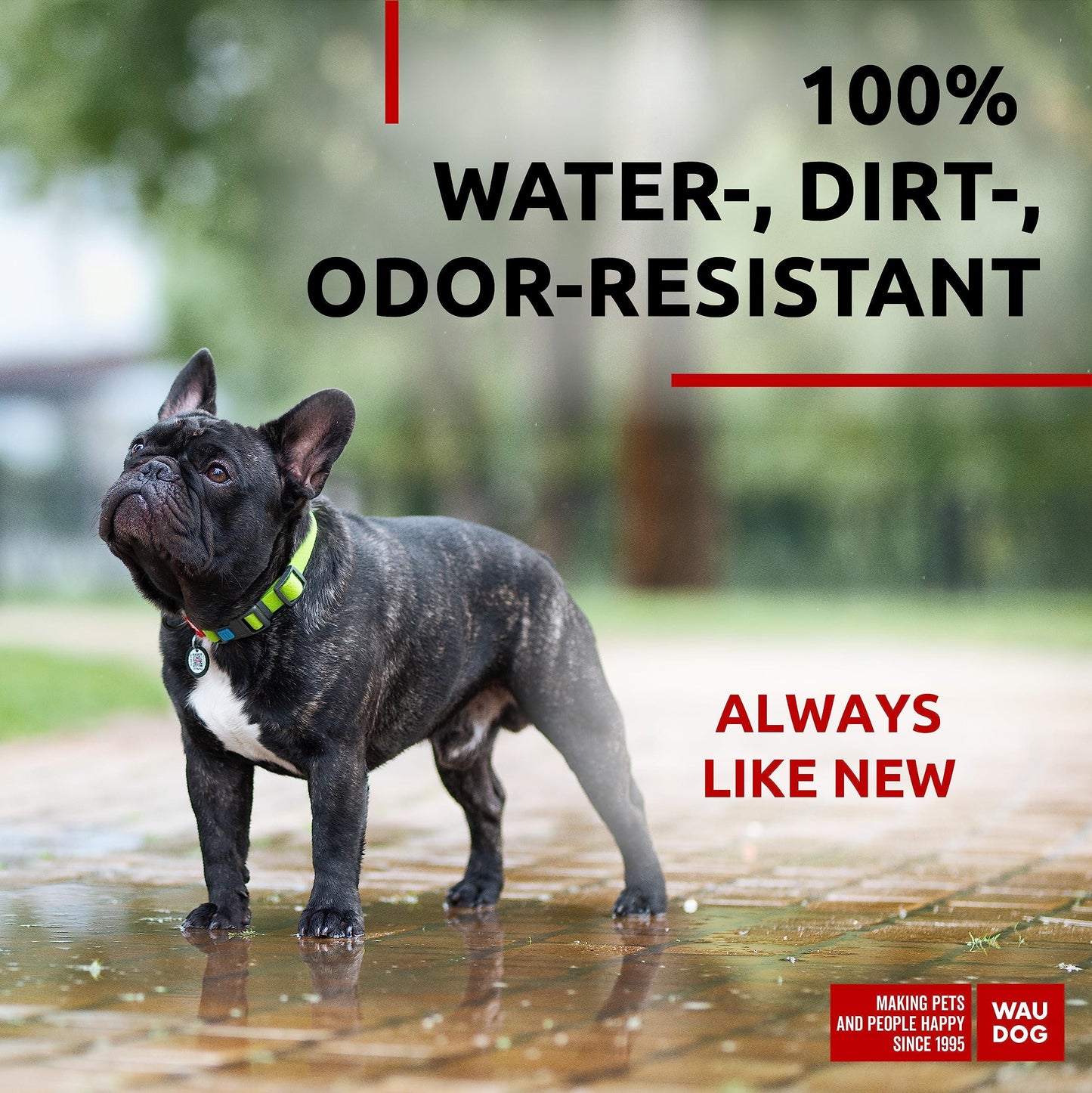 WAUDOG Waterproof Dog Collar   Adjustable Dog Collar for Large Dogs