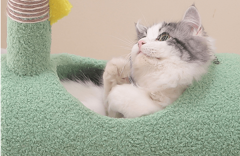 Ultimate Cat Adventure Playground With Built-In Litter Box