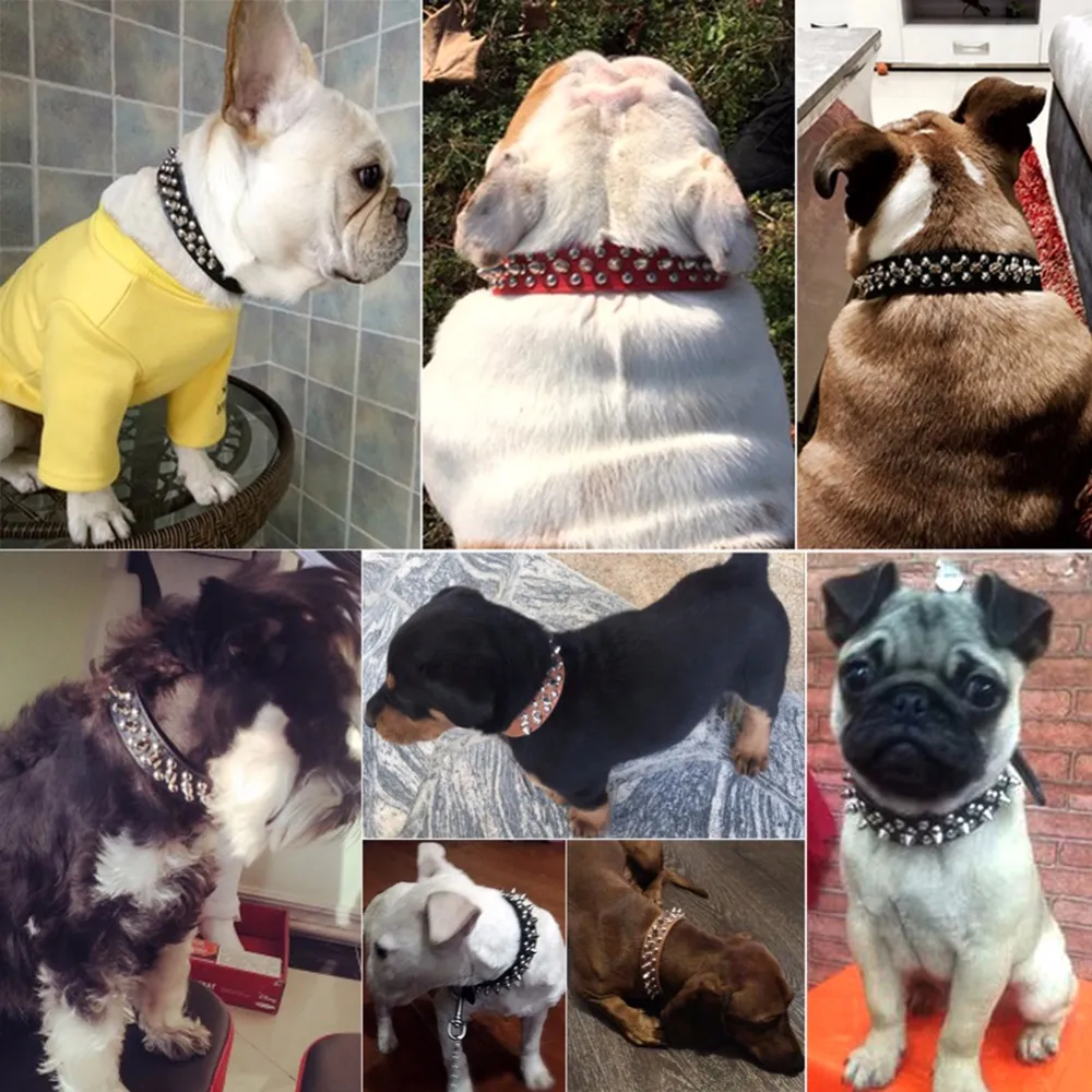 Spiked Studded Leather Dog Collar Rivets Pet Small Large Cat Pit Bull