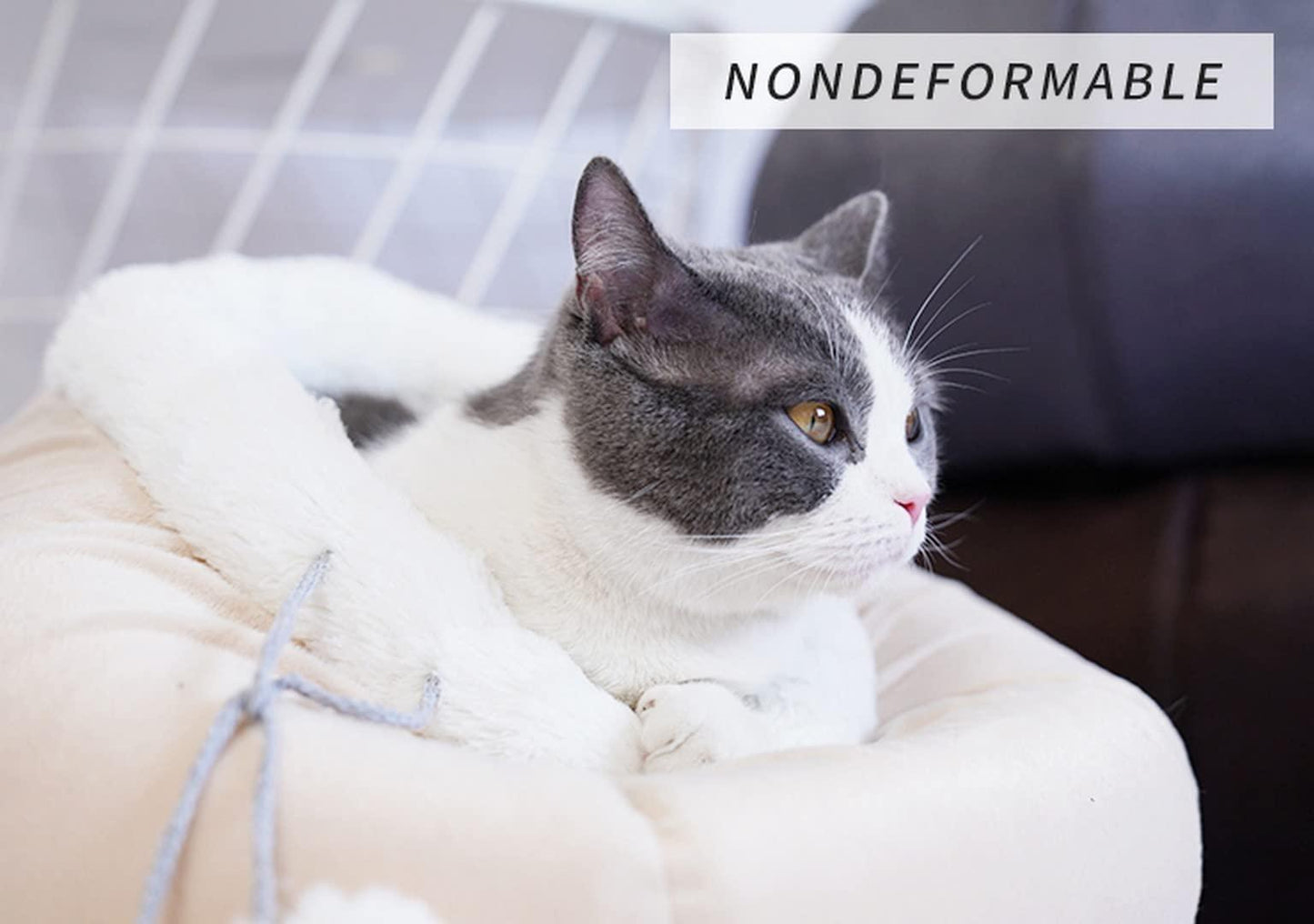 Cat Bed for Indoor Cats Large Kitten House Box Cat Cave with Removable