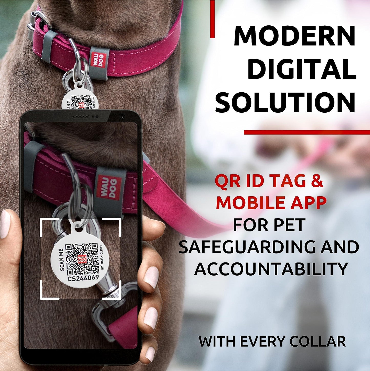 WAUDOG Long Lasting Leather Dog Collar for Large Dogs Medium & Small