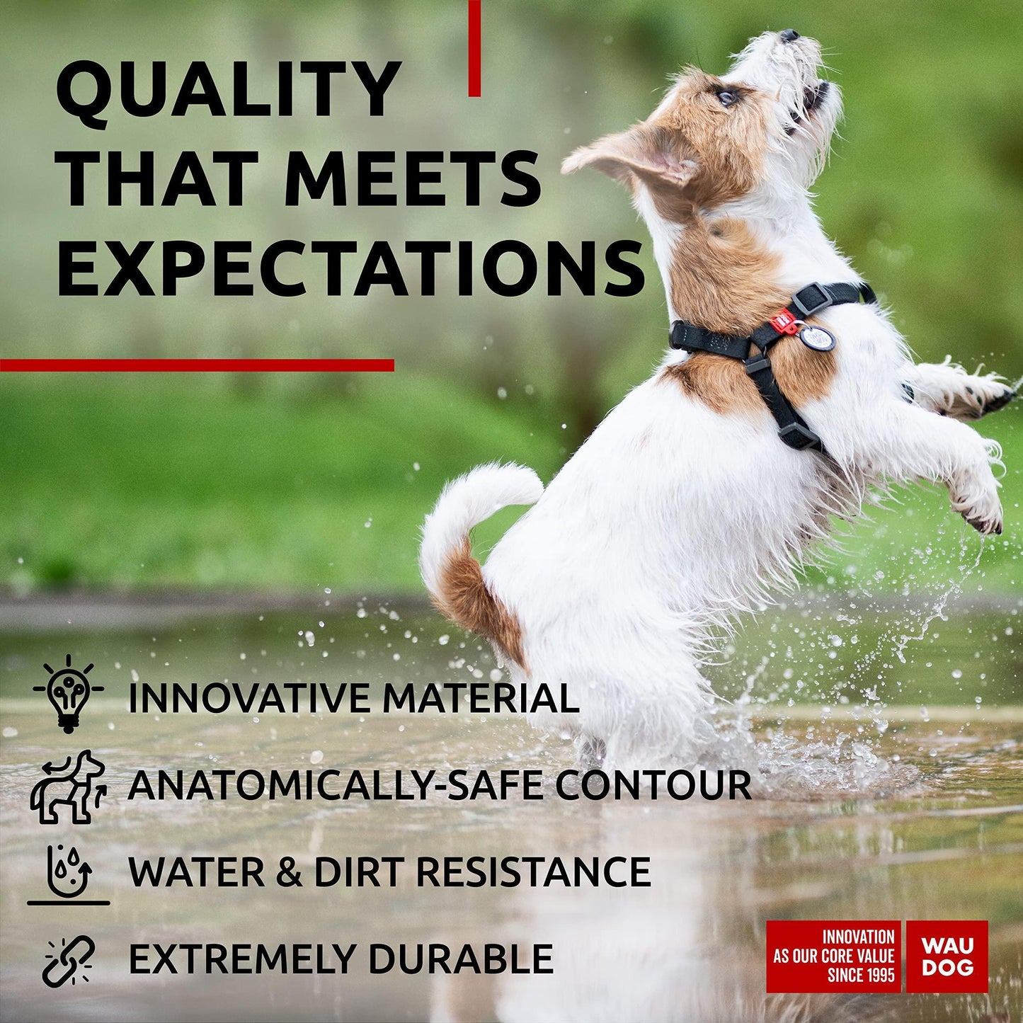 Waterproof Dog Harness   Adjustable Dog Harness for Large Dogs Small