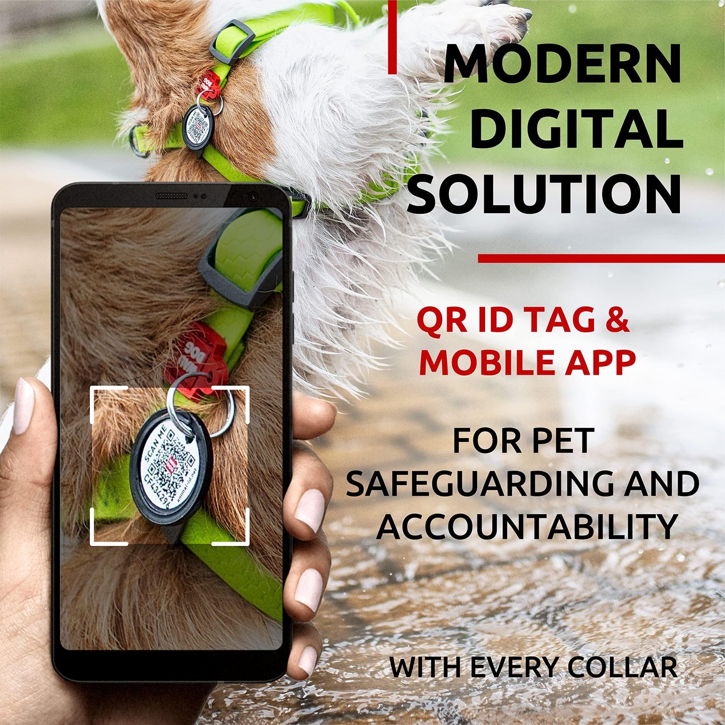 Waterproof Dog Harness   Adjustable Dog Harness for Large Dogs Small