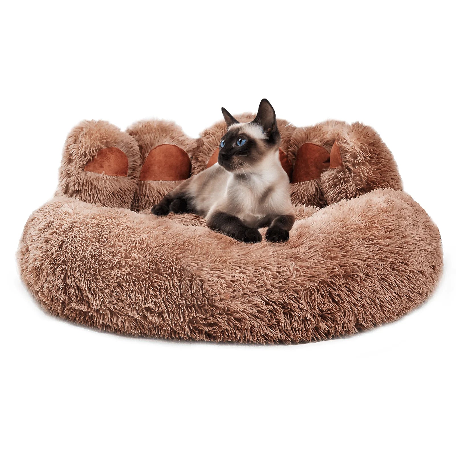 DB Cute Dog Bed & Cat Bed Bear Paw Shape Furniture for Small and Medium Indoor Pets Stylish Indoor Bed for Cats and Dogs-3
