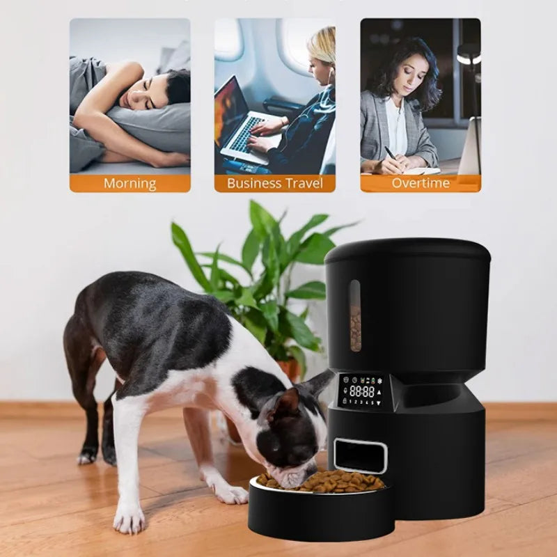Hot Sales New Voice Record Time Set Touch Screen Pet Feeder Dispenser for Cat Dog-3