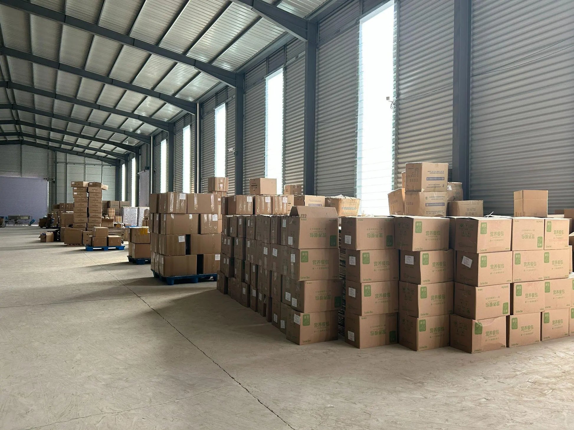 OEM/ODM Dog Soft Chews Probiotics Pet Supplement and Anti Allergy Immune Booster for Dogs Veterinary Supplements-3