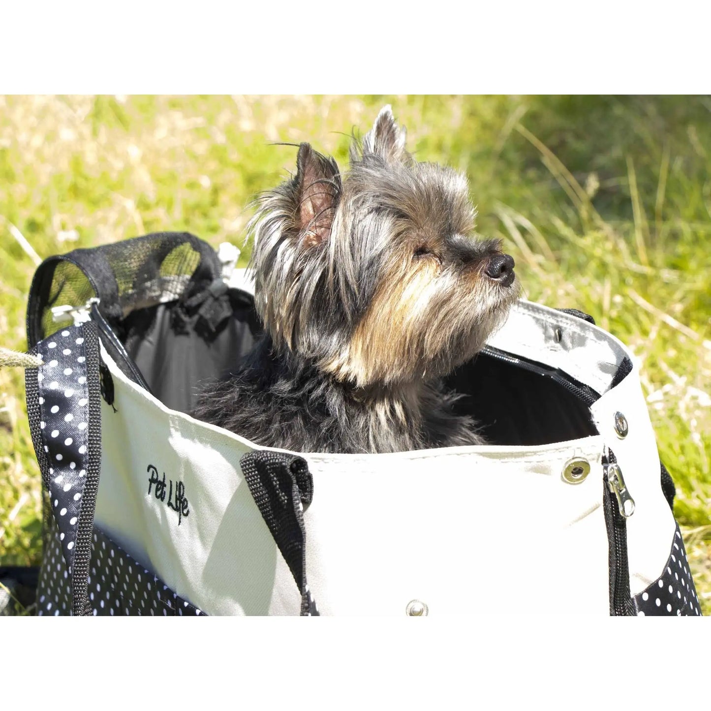 Fashionable Spotted Tote Pet Carrier Stylish Carrying Solution for Your Furry Friend-3