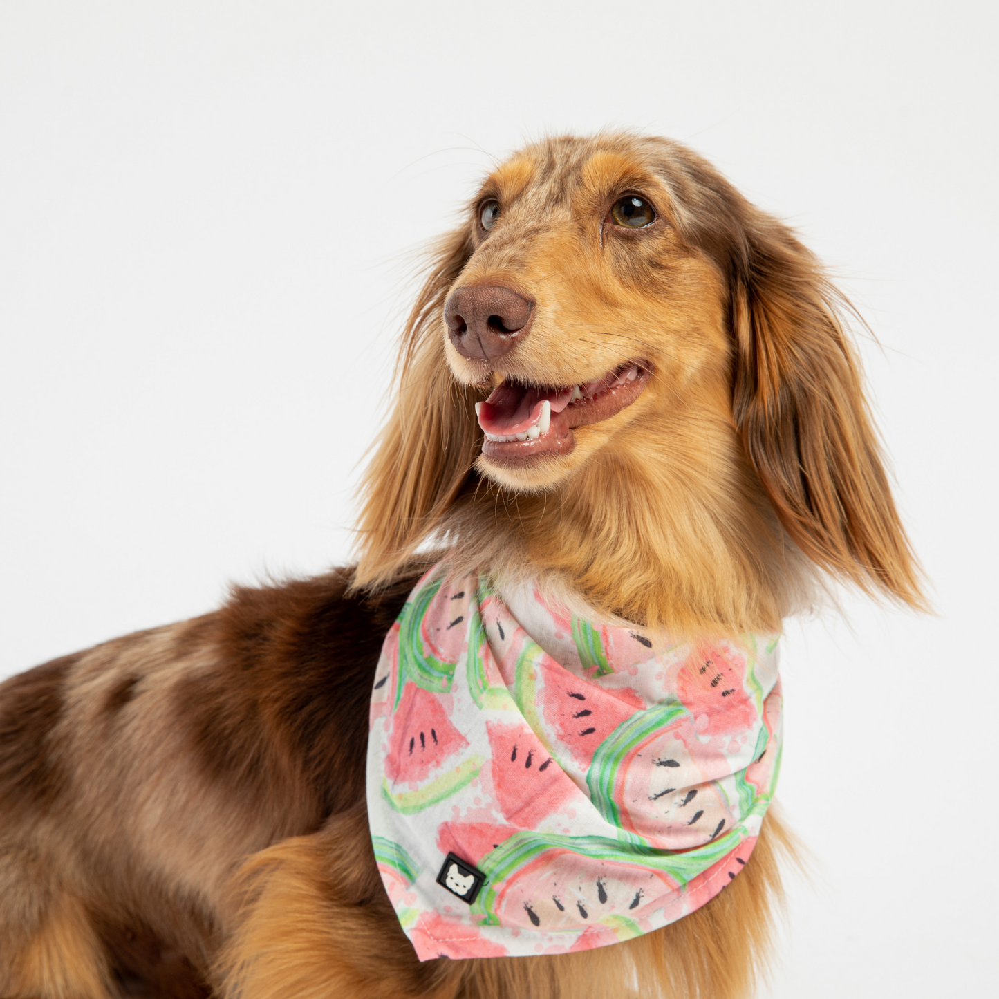 🍉 Watermelon Dog Bandana – Stylish & Fun Summer Accessory for Pets