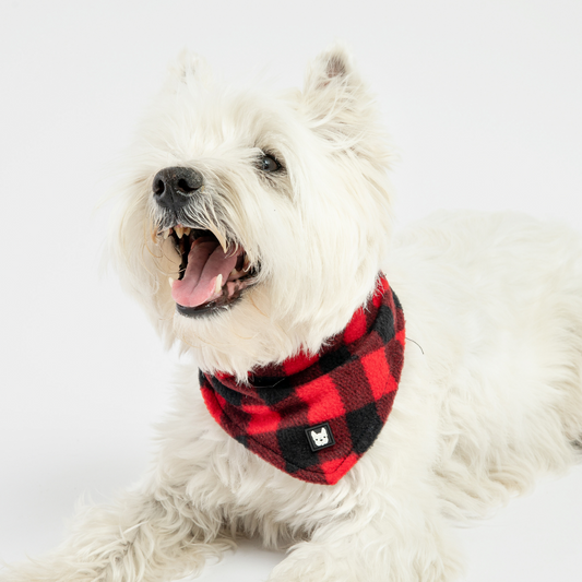 ❤️ Plaid Dog Bandana – Classic Red Checkered Scarf for Stylish Pups
