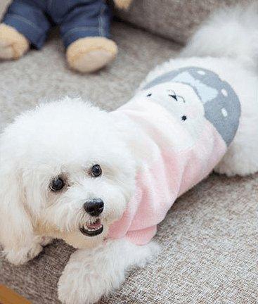 Cozy Woolen Pet Sweater - Stylish And Warm Dog Clothes For All Seasons-1