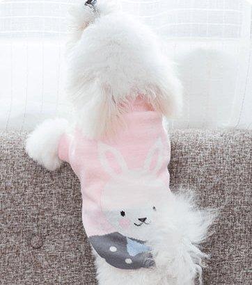 Cozy Woolen Pet Sweater - Stylish And Warm Dog Clothes For All Seasons-11