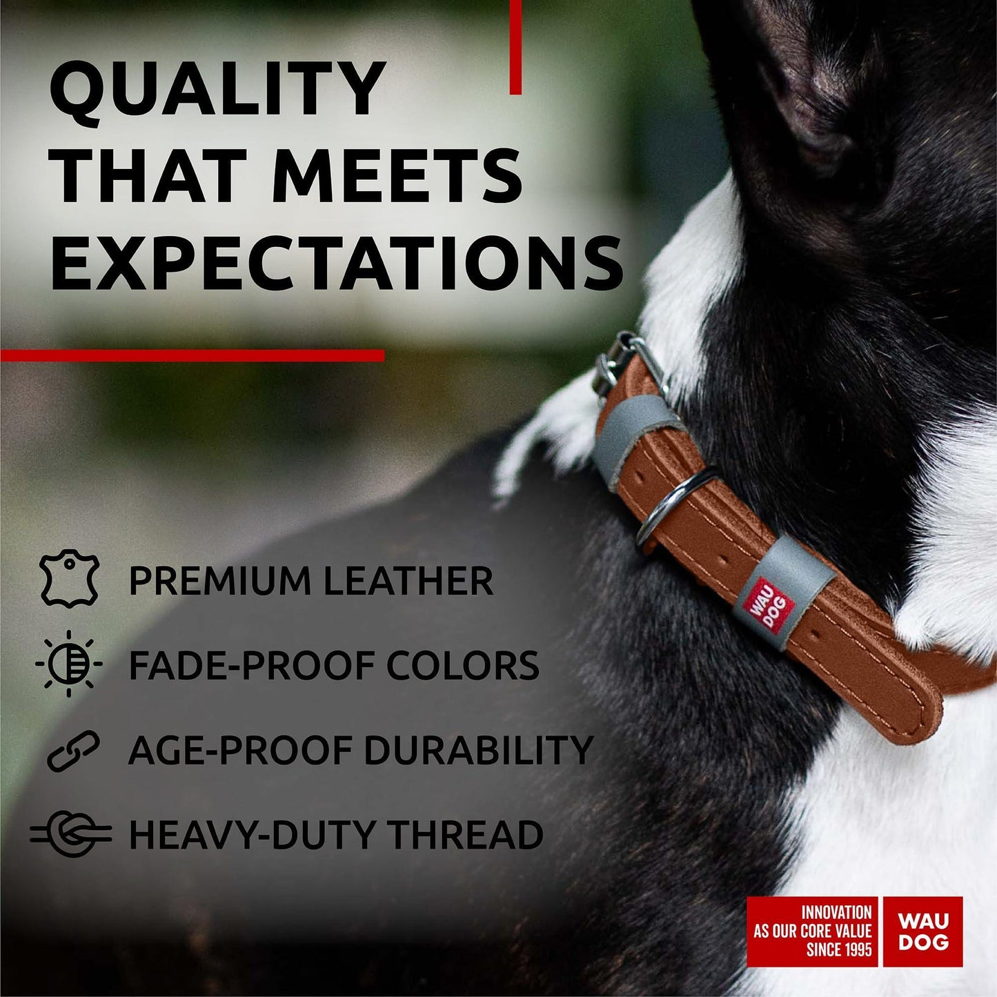 Long Lasting Leather Dog Collar for Large Dogs Medium & Small Dogs