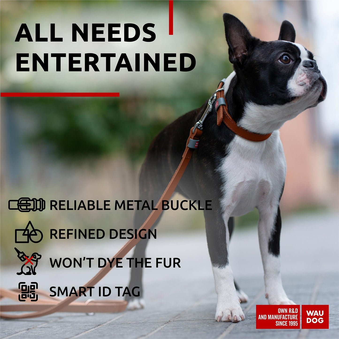 Long Lasting Leather Dog Collar for Large Dogs Medium & Small Dogs