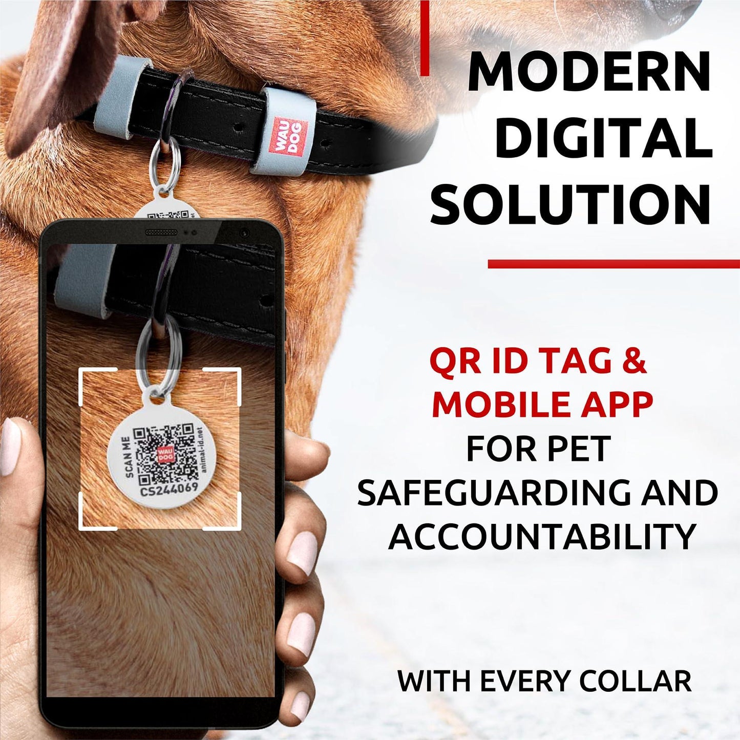 Long Lasting Leather Dog Collar for Large Dogs Medium & Small Dogs