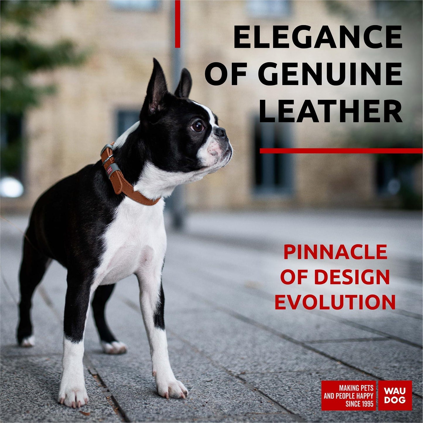 Long Lasting Leather Dog Collar for Large Dogs Medium & Small Dogs