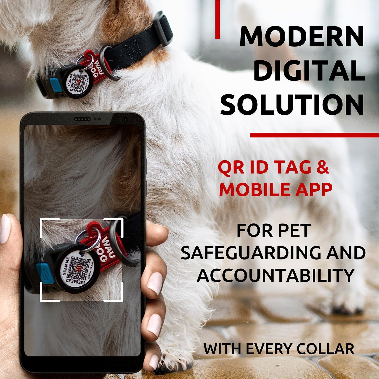 Waterproof Dog Collar   Adjustable Dog Collar for Large Dogs Small and